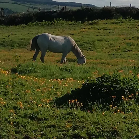 Feriehus Hill House, Panoramic Burren Views, Ideal Location *