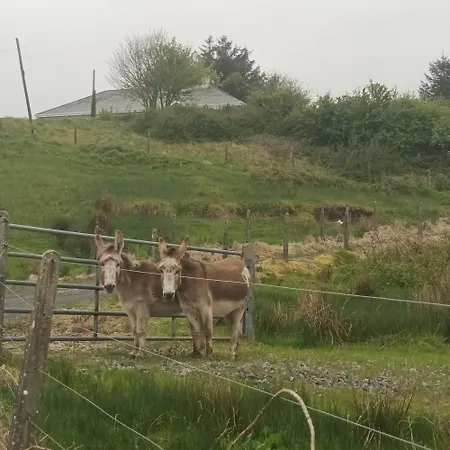 Hill House, Panoramic Burren Views, Ideal Location Ferienhaus *