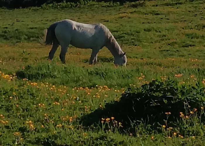 Hébergement de vacances Hill House, Panoramic Burren Views, Ideal Location *