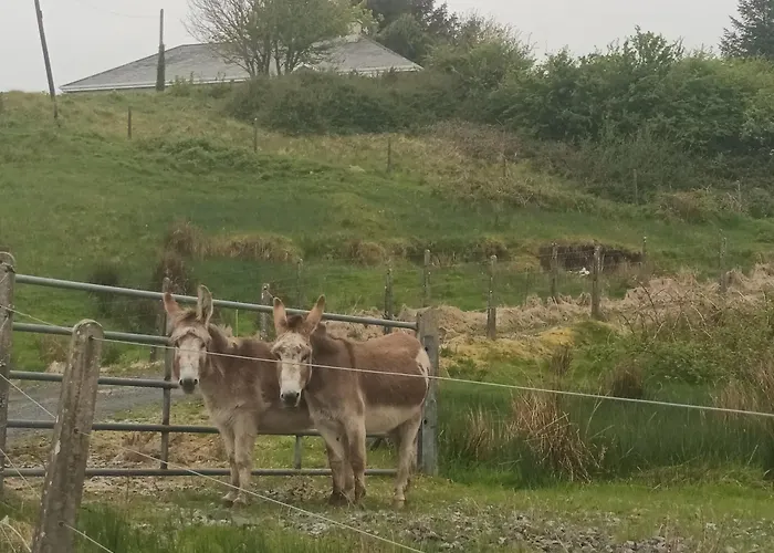 Hill House, Panoramic Burren Views, Ideal Location Hébergement de vacances *